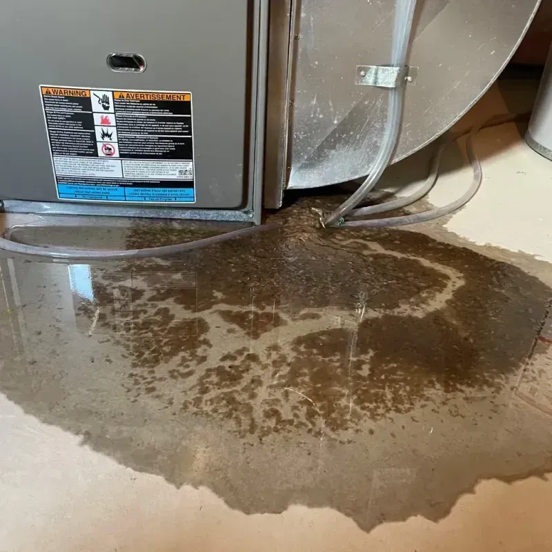 Appliance Leak Cleanup in Olyphant, PA